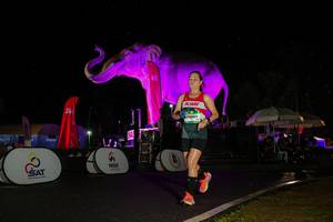 BIB: 
                            <button type="button" onclick="openModal(26543623)" class="btn btn-primary btn-sm float-right btn-popup" data-toggle="modal" data-target=".modal-high-quality">
                        <i class="fas fa-shopping-cart"></i> Add to Cart
                    </button>
                                            <button type="button" onclick="isThisMe(26543623, true)" class="btn btn-success btn-sm float-right btn-popup btn-isme hidden" data-toggle="tooltip" data-placement="bottom" title="นี่คือรูปของคุณใช่ไหม คลิกที่นี่เพื่อเอาเข้าอัลบั้ม">
                        <i class="fas fa-plus"></i> Add to album
                    </button>
                    <button type="button" onclick="isThisMe(26543623, false)" class="btn btn-warning btn-sm float-right btn-popup btn-isnotme hidden">
                        <i class="fas fa-ban"></i> Remove from album
                    </button>